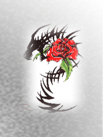 pp2e211f6c.png