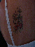 pp45cfe728.png