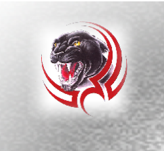 pp80aeed7e.png