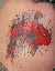 ppf99d025f.png